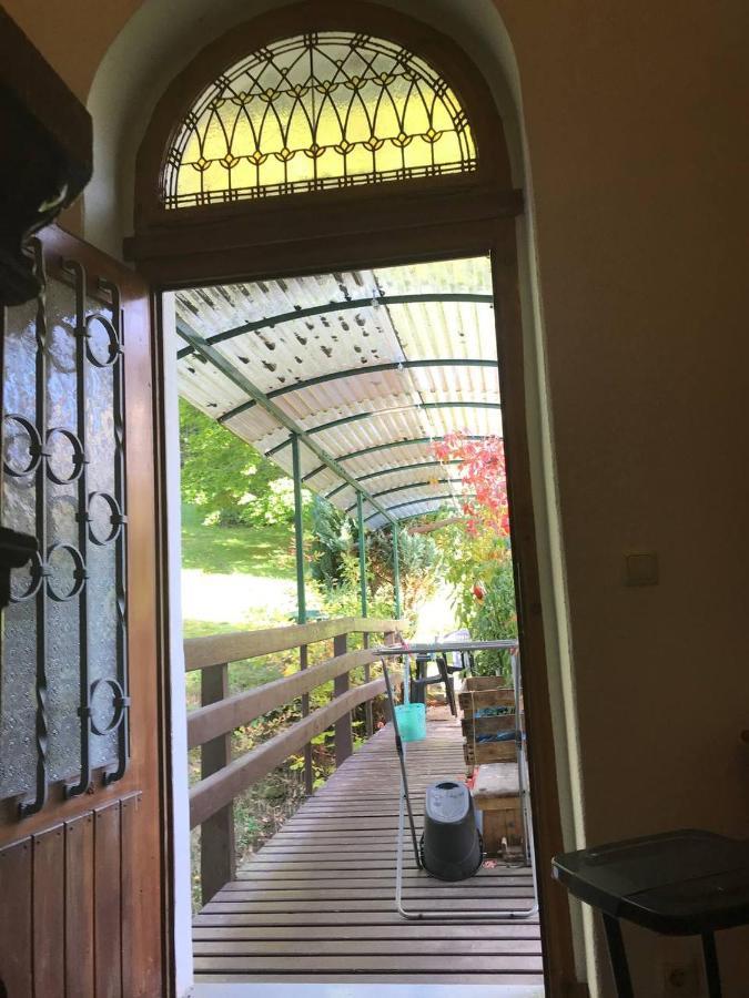 באד אלסטר Ferienwohnung In Villa מראה חיצוני תמונה